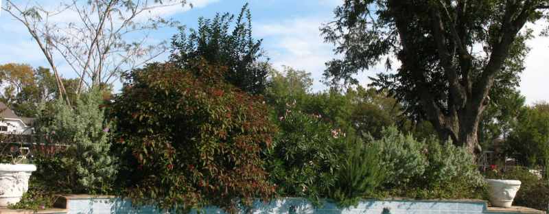 The Hanging Gardens of Metcalf